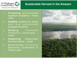 Forest Code Brazilian Forests: back to landscapes? Challenges and Strategies for ...
