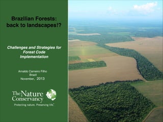 Brazilian Forests:!
back to landscapes!?!

 
 
Challenges and Strategies for
Forest Code!
Implementation

Arnaldo Carneiro Filho!
Brazil!
November, 2013

 