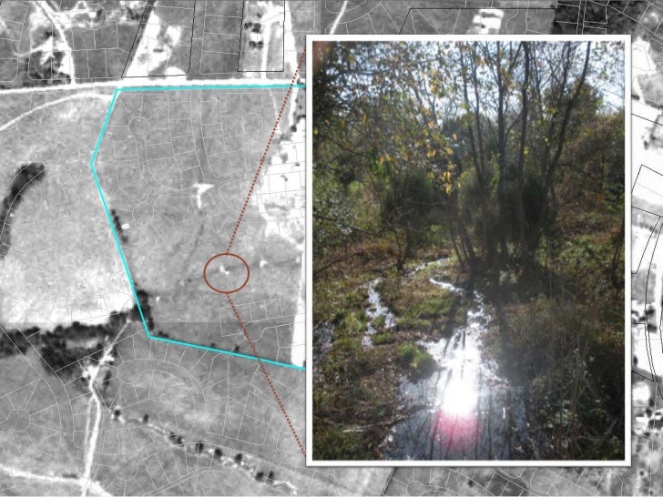 Forest conservation annual report310