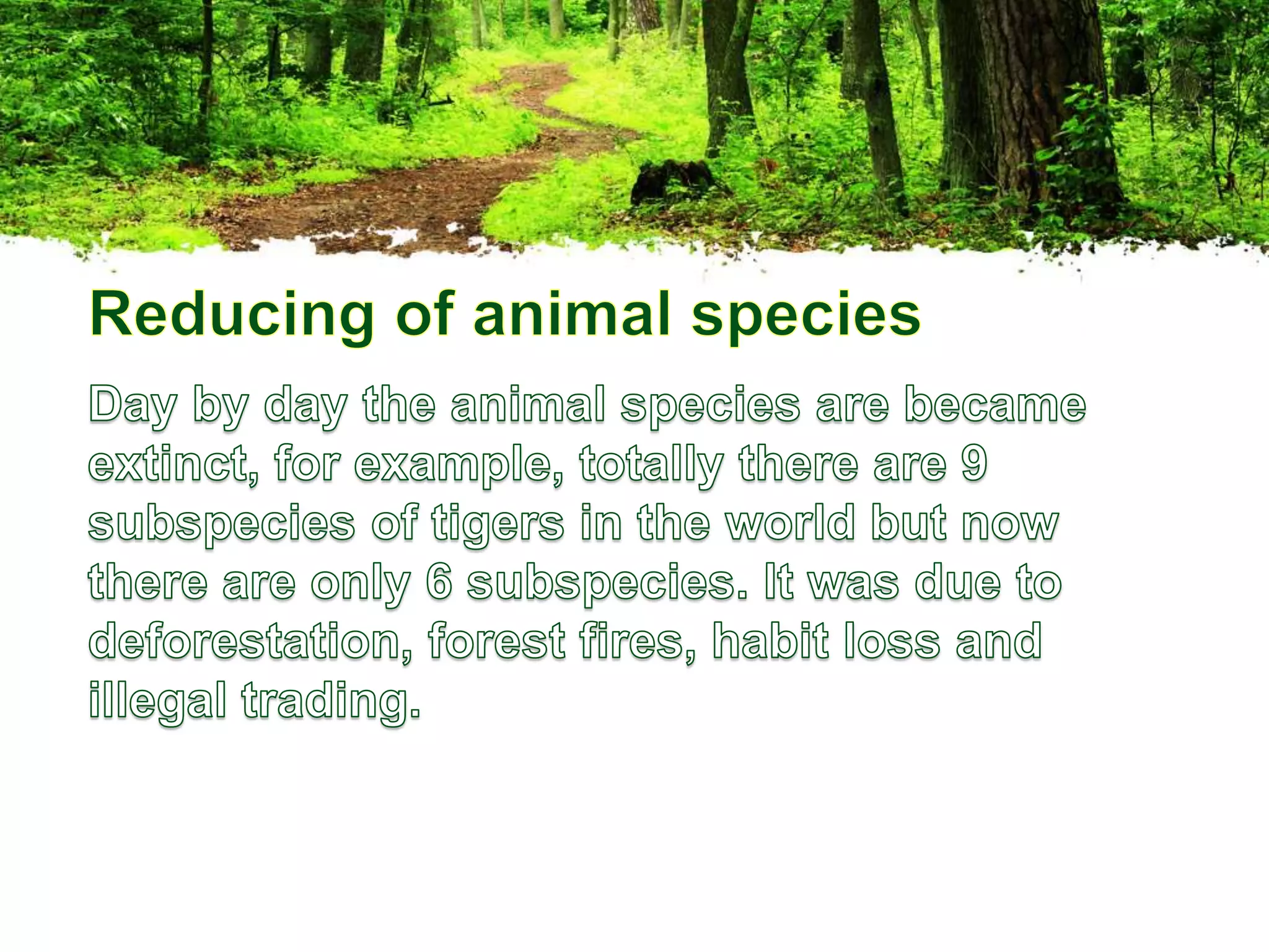 Forest Conservation Methods Ppt Forest Conservation Methods Ppt