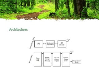 Timber Conservation Methods Forest conservation methods | PPTX