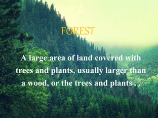 FOREST
A large area of land covered with
trees and plants, usually larger than
a wood, or the trees and plants . .
 