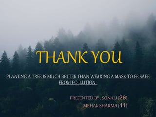 THANK YOU
PLANTING A TREE IS MUCH BETTER THAN WEARING A MASK TO BE SAFE
FROM POLLUTION .
PRESENTED BY : SONALI (26)
MEHAK SHARMA (11)
 