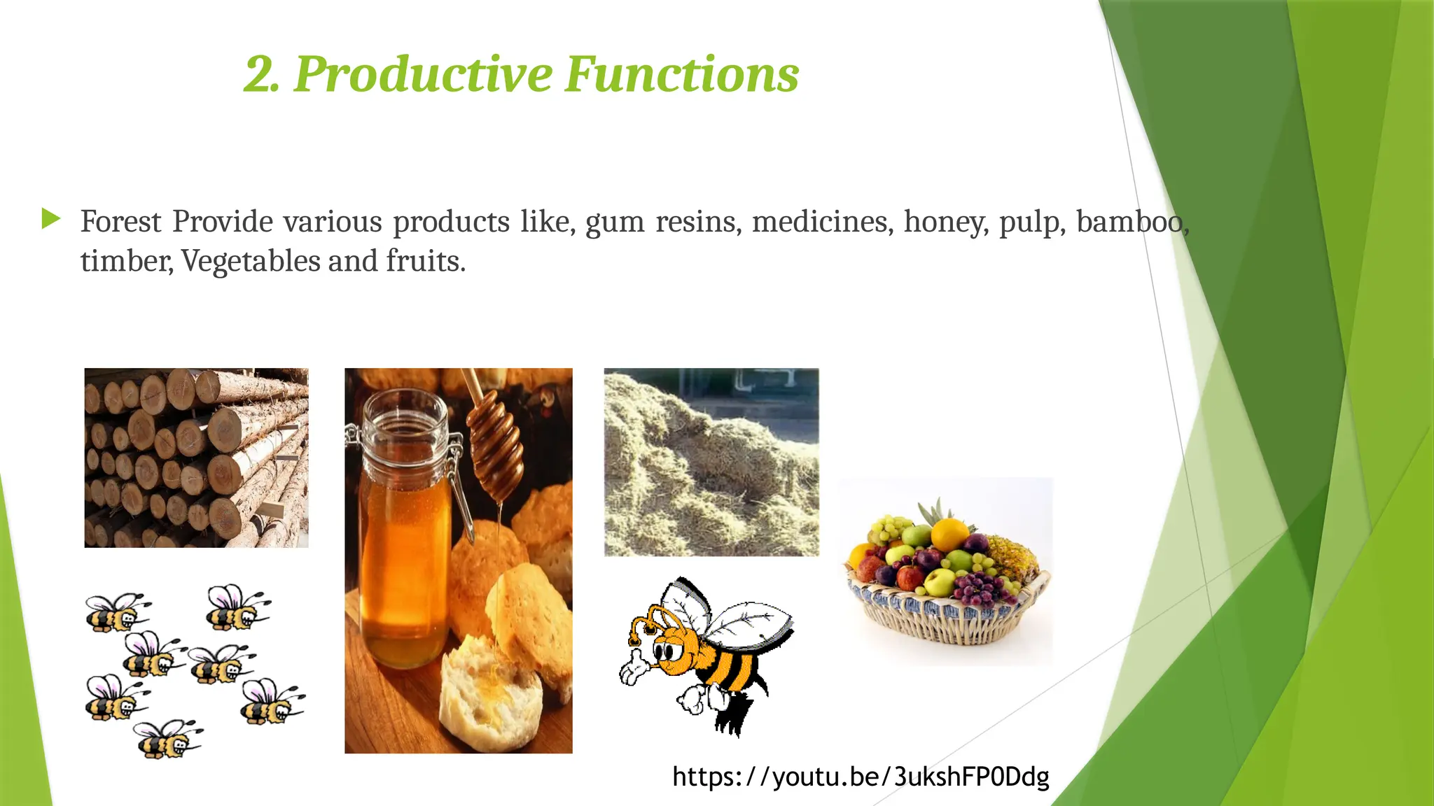 2. Productive Functions
 Forest Provide various products like, gum resins, medicines, honey, pulp, bamboo,
timber, Vegetables and fruits.
https://youtu.be/3ukshFP0Ddg
 
