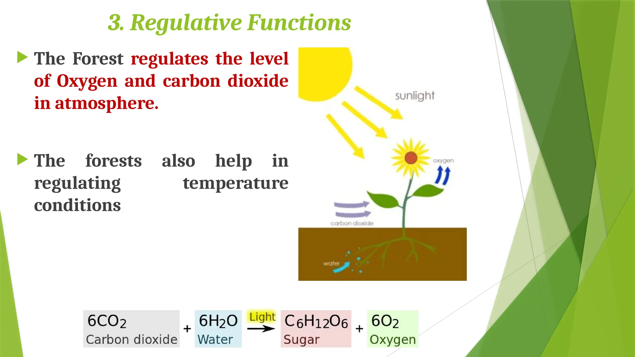 3. Regulative Functions
 The Forest regulates the level
of Oxygen and carbon dioxide
in atmosphere.
 The forests also help in
regulating temperature
conditions
 