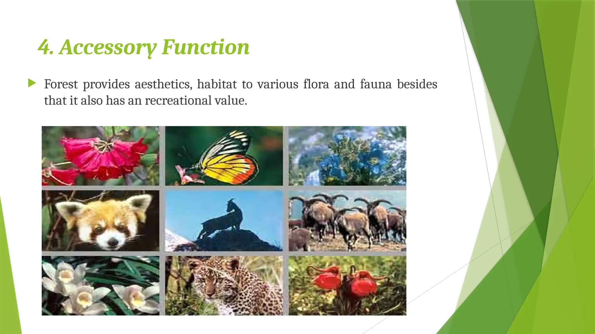 4. Accessory Function
 Forest provides aesthetics, habitat to various flora and fauna besides
that it also has an recreational value.
 