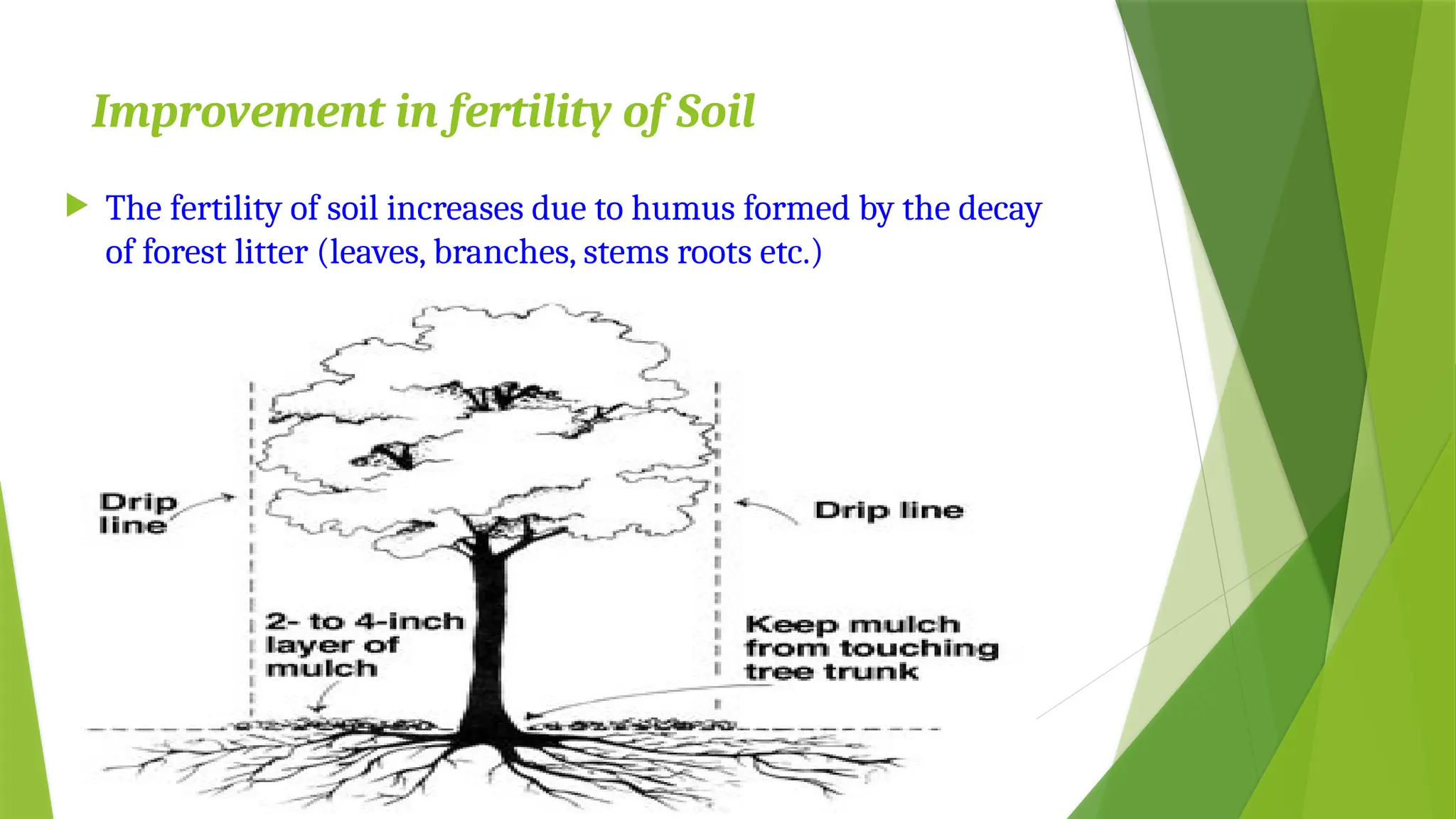 Improvement in fertility of Soil
 The fertility of soil increases due to humus formed by the decay
of forest litter (leaves, branches, stems roots etc.)
 