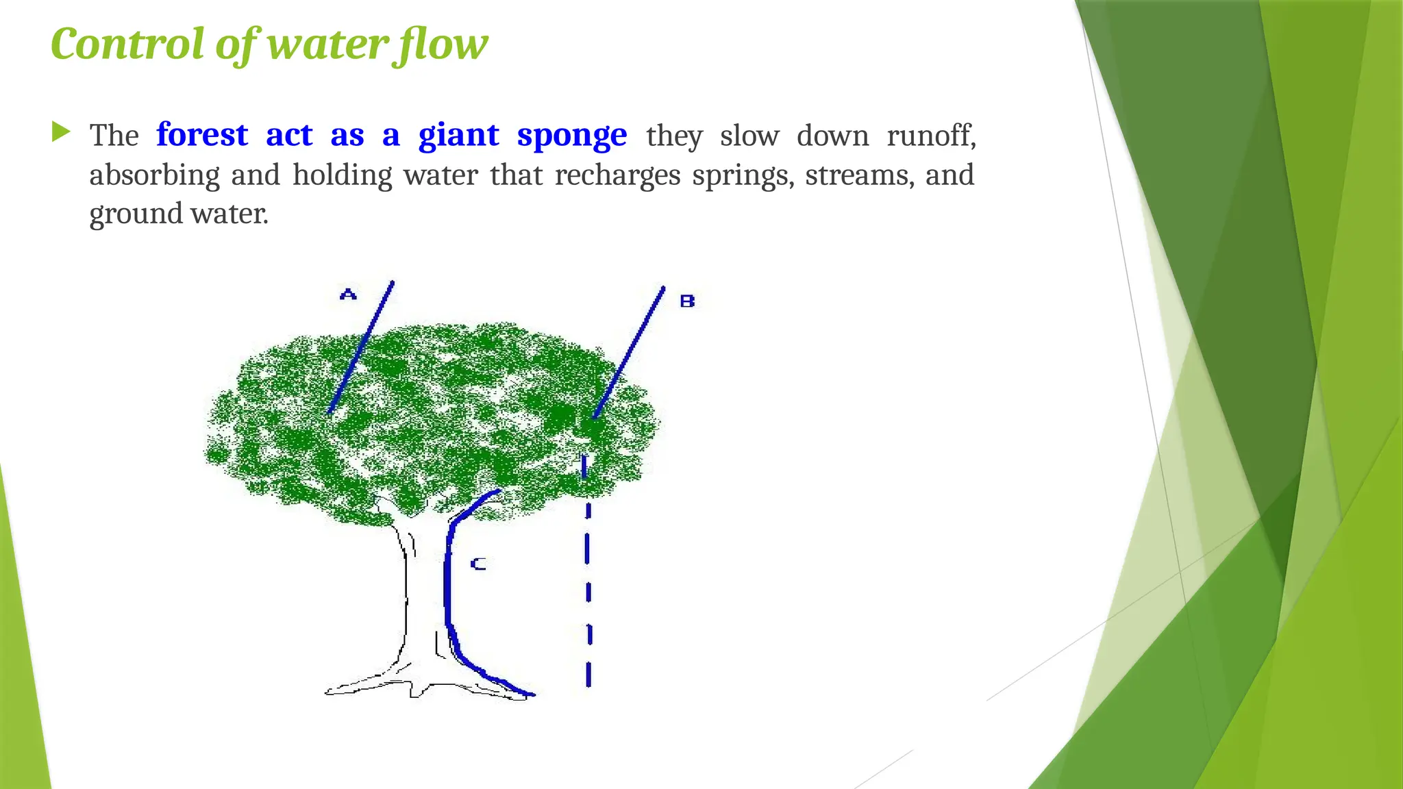 Control of water flow
 The forest act as a giant sponge they slow down runoff,
absorbing and holding water that recharges springs, streams, and
ground water.
 