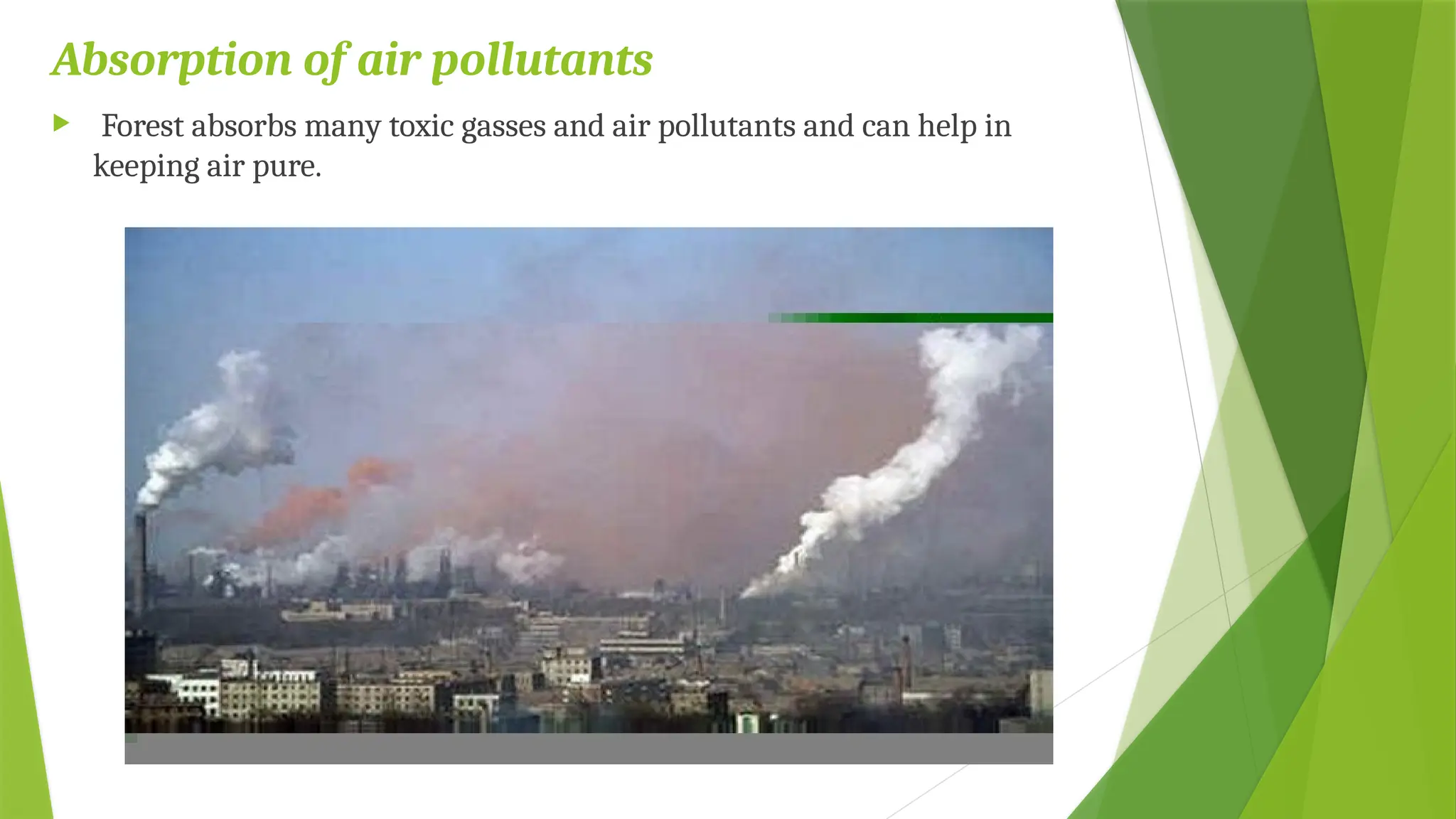 Absorption of air pollutants
 Forest absorbs many toxic gasses and air pollutants and can help in
keeping air pure.
 