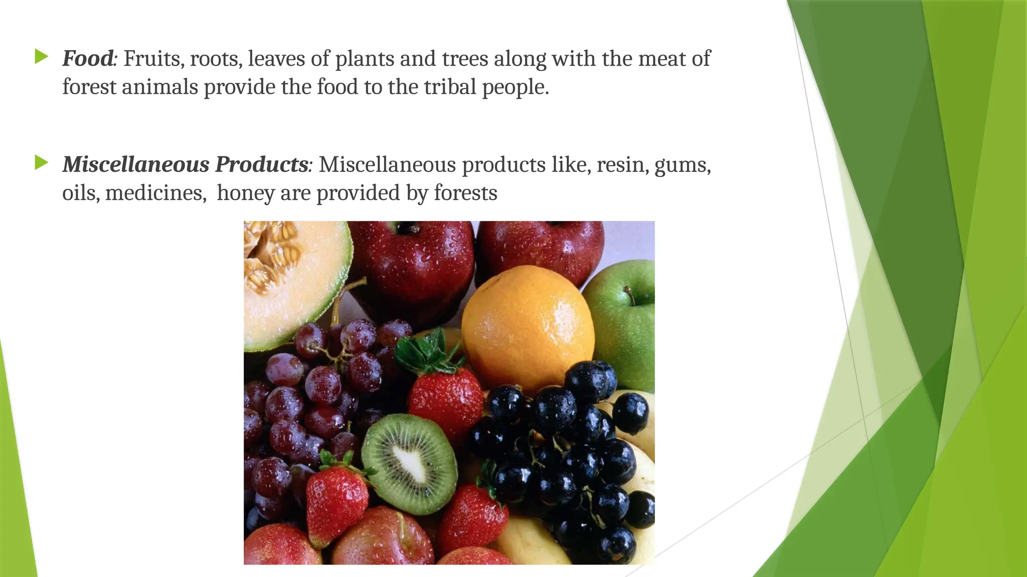  Food: Fruits, roots, leaves of plants and trees along with the meat of
forest animals provide the food to the tribal people.
 Miscellaneous Products: Miscellaneous products like, resin, gums,
oils, medicines, honey are provided by forests
 