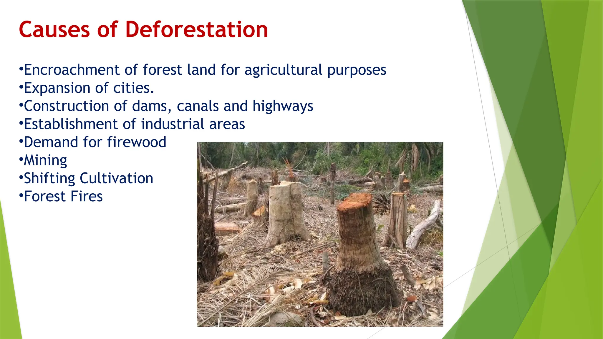 Causes of Deforestation
•Encroachment of forest land for agricultural purposes
•Expansion of cities.
•Construction of dams, canals and highways
•Establishment of industrial areas
•Demand for firewood
•Mining
•Shifting Cultivation
•Forest Fires
 