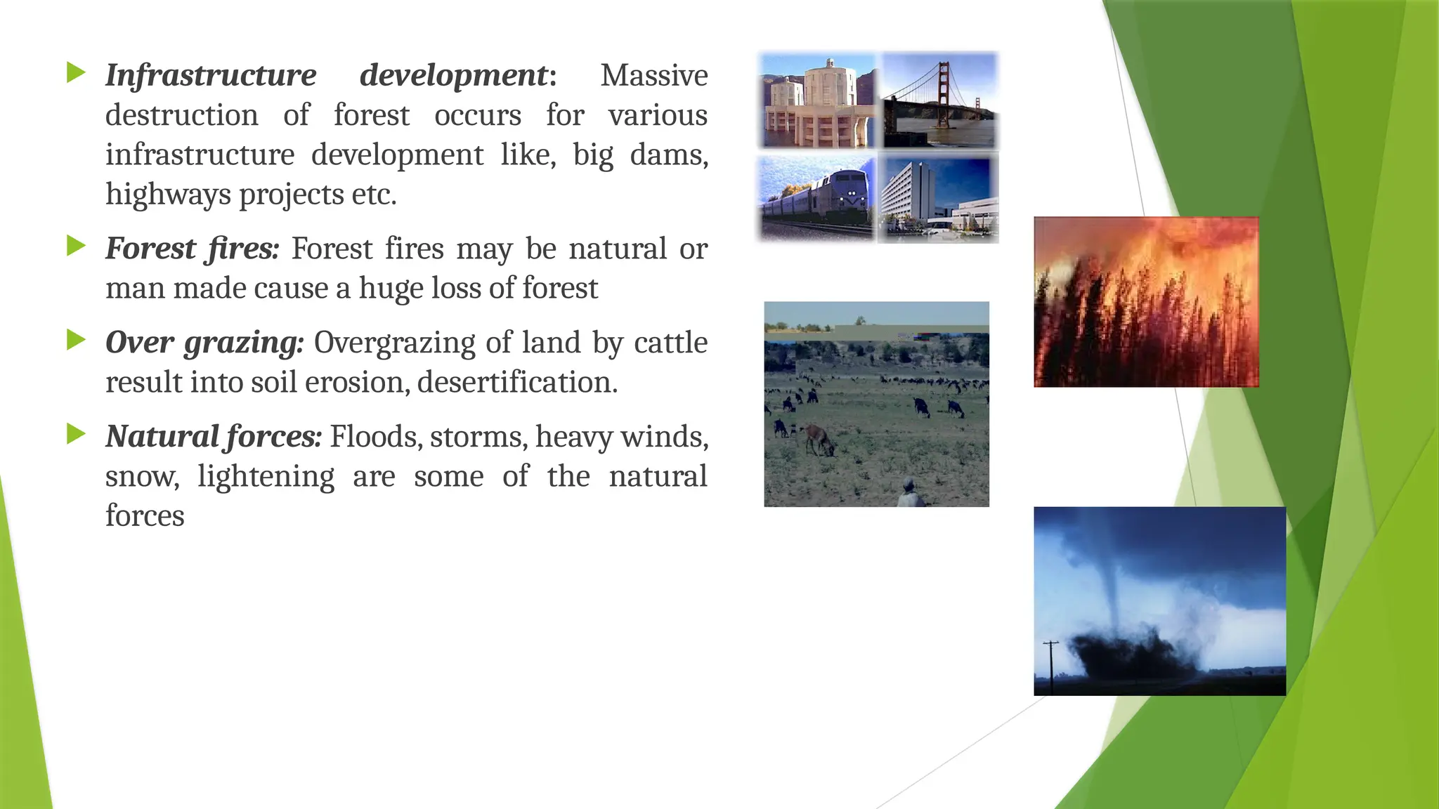  Infrastructure development: Massive
destruction of forest occurs for various
infrastructure development like, big dams,
highways projects etc.
 Forest fires: Forest fires may be natural or
man made cause a huge loss of forest
 Over grazing: Overgrazing of land by cattle
result into soil erosion, desertification.
 Natural forces: Floods, storms, heavy winds,
snow, lightening are some of the natural
forces
 