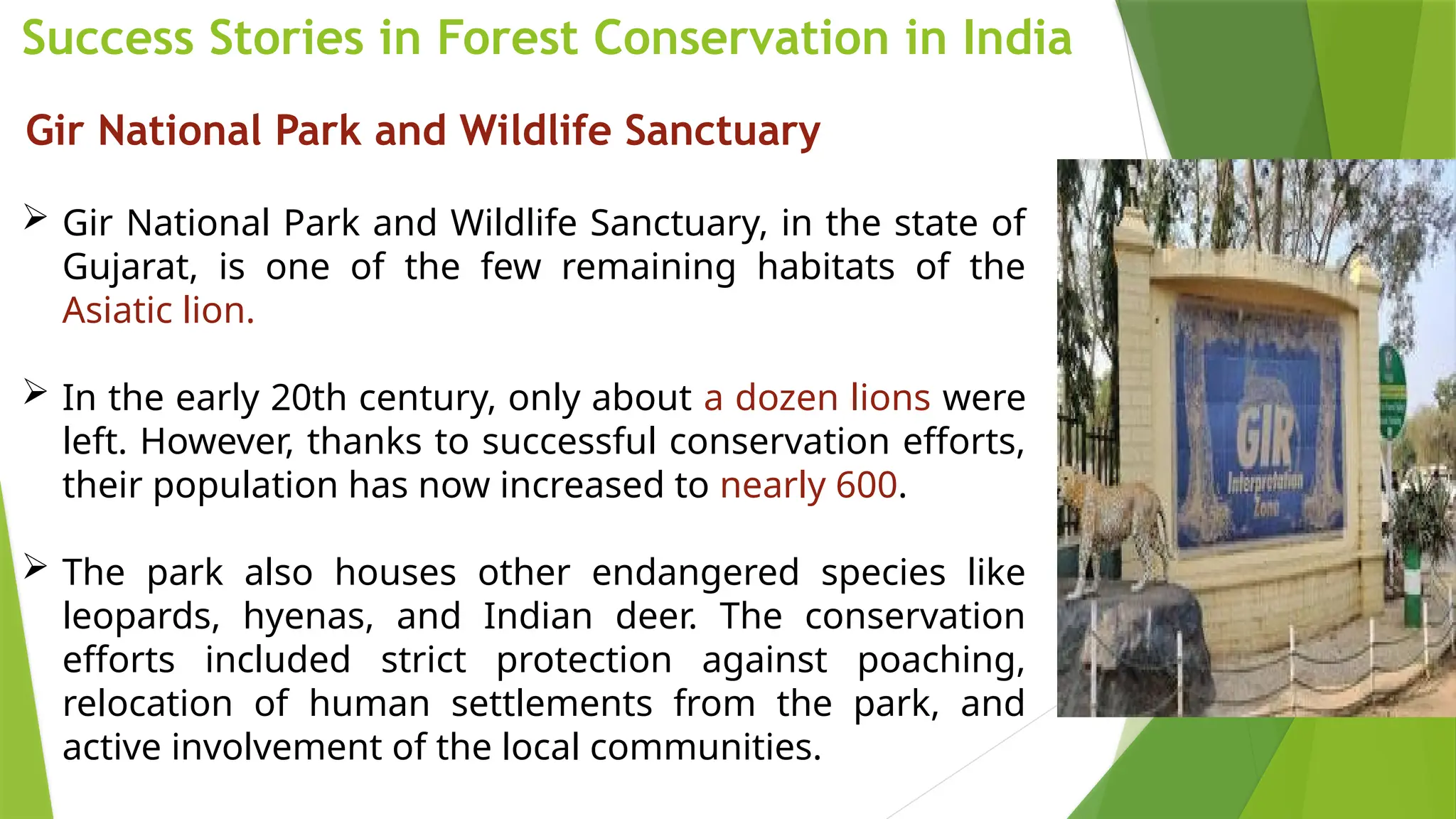 Success Stories in Forest Conservation in India
Gir National Park and Wildlife Sanctuary
 Gir National Park and Wildlife Sanctuary, in the state of
Gujarat, is one of the few remaining habitats of the
Asiatic lion.
 In the early 20th century, only about a dozen lions were
left. However, thanks to successful conservation efforts,
their population has now increased to nearly 600.
 The park also houses other endangered species like
leopards, hyenas, and Indian deer. The conservation
efforts included strict protection against poaching,
relocation of human settlements from the park, and
active involvement of the local communities.
 