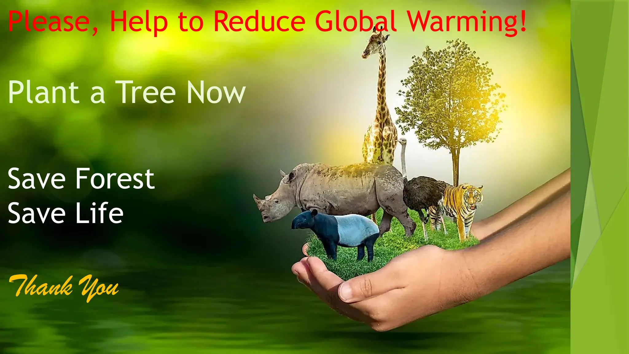 Please, Help to Reduce Global Warming!
Plant a Tree Now
Save Forest
Save Life
Thank You
 