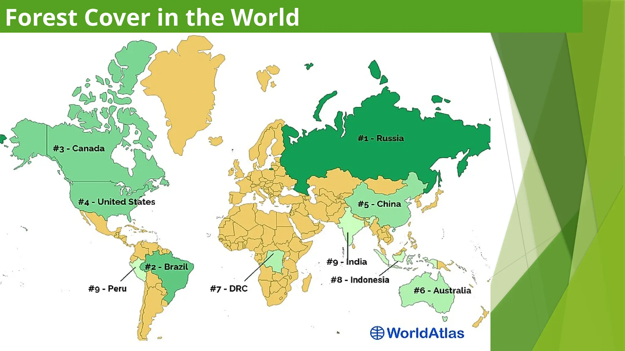 Forest Cover in the World
 