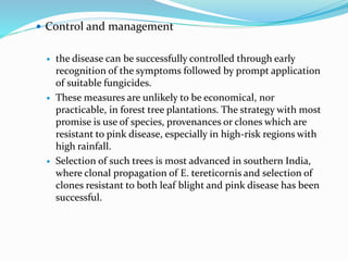  Control and management
 the disease can be successfully controlled through early
recognition of the symptoms followed by prompt application
of suitable fungicides.
 These measures are unlikely to be economical, nor
practicable, in forest tree plantations. The strategy with most
promise is use of species, provenances or clones which are
resistant to pink disease, especially in high-risk regions with
high rainfall.
 Selection of such trees is most advanced in southern India,
where clonal propagation of E. tereticornis and selection of
clones resistant to both leaf blight and pink disease has been
successful.
 
