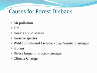 Causes for Forest Dieback
 Air pollution
 Fire
 Insects and diseases
 Invasive species
 Wild animals and Livestock : eg- Sambar damages
 Storms
 Direct human induced damages
 Climate Change
 