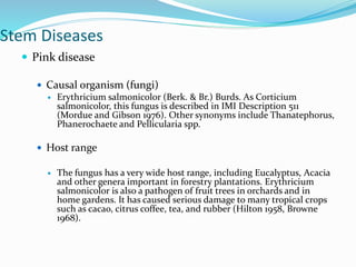 Stem Diseases
 Pink disease
 Causal organism (fungi)
 Erythricium salmonicolor (Berk. & Br.) Burds. As Corticium
salmonicolor, this fungus is described in IMI Description 511
(Mordue and Gibson 1976). Other synonyms include Thanatephorus,
Phanerochaete and Pellicularia spp.
 Host range
 The fungus has a very wide host range, including Eucalyptus, Acacia
and other genera important in forestry plantations. Erythricium
salmonicolor is also a pathogen of fruit trees in orchards and in
home gardens. It has caused serious damage to many tropical crops
such as cacao, citrus coffee, tea, and rubber (Hilton 1958, Browne
1968).
 
