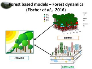 Forest dynamics | PPTX