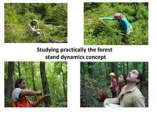 Forest dynamics | PPTX
