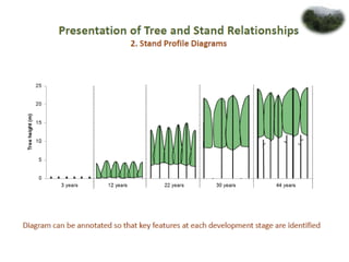Forest dynamics | PPTX