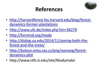 Forest dynamics | PPTX