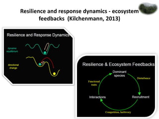 Forest dynamics | PPTX