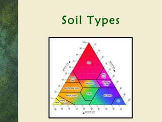 Soil Types 