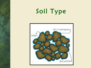Soil Type 