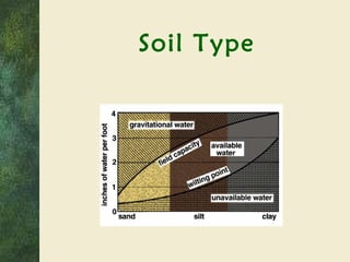 Soil Type 
