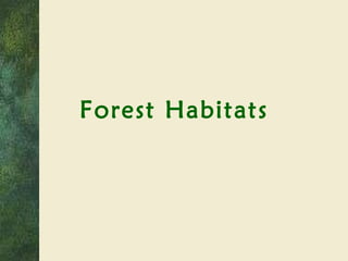 Forest Habitats 