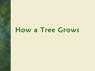How a Tree Grows 