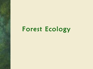 Forest Ecology 