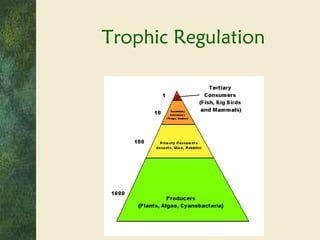 Trophic Regulation 