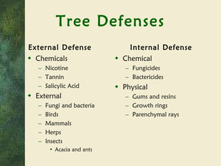 Tree Defenses External Defense Chemicals Nicotine Tannin Salicylic Acid External Fungi and bacteria Birds Mammals Herps Insects Acacia and ants Internal Defense Chemical Fungicides Bactericides Physical Gums and resins Growth rings Parenchymal rays 