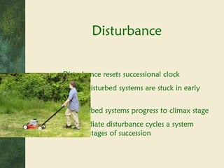 Disturbance resets successional clock Highly disturbed systems are stuck in early succession Undisturbed systems progress to climax stage Intermediate disturbance cycles a system between stages of succession Disturbance  