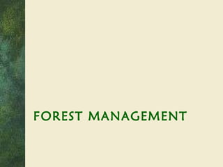 FOREST MANAGEMENT 