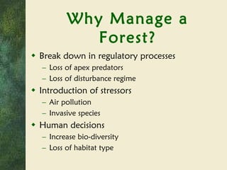 Why Manage a Forest? Break down in regulatory processes Loss of apex predators Loss of disturbance regime Introduction of stressors Air pollution Invasive species Human decisions Increase bio-diversity Loss of habitat type 
