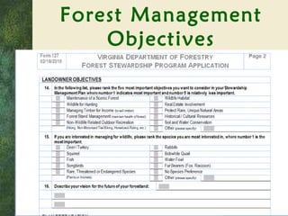 Forest Management Objectives 