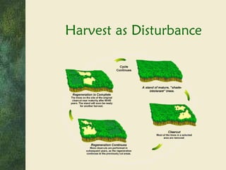 Harvest as Disturbance 