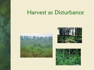 Harvest as Disturbance 