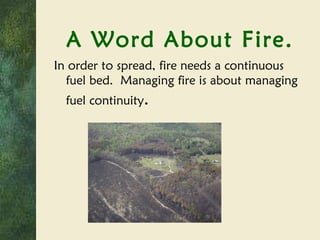 A Word About Fire. In order to spread, fire needs a continuous fuel bed.  Managing fire is about managing fuel continuity . 