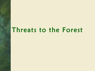 Threats to the Forest 