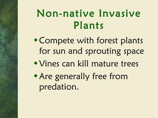 Non-native Invasive Plants Compete with forest plants for sun and sprouting space Vines can kill mature trees Are generally free from predation. 