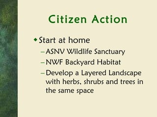 Citizen Action Start at home ASNV Wildlife Sanctuary NWF Backyard Habitat Develop a Layered Landscape with herbs, shrubs and trees in the same space 