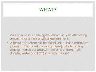 Forest Ecosystem | PPTX
