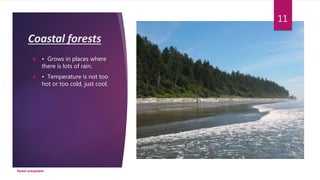 Coastal forests
 • Grows in places where
there is lots of rain.
 • Temperature is not too
hot or too cold, just cool.
forest ecosystem
11
 