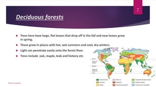 Deciduous forests
 Trees here have large, flat leaves that drop off in the fall and new leaves grow
in spring.
 These grow in places with hot, wet summers and cool, dry winters.
 Light can penetrate easily onto the forest floor.
 Trees include oak, maple, teak and hickory etc.
forest ecosystem
7
 