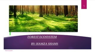FOREST ECOSYSTEM
BY: HAMZA SHAMS
forest ecosystem
1
 