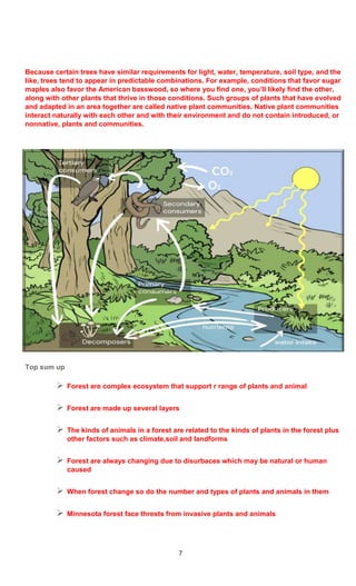 7
Because certain trees have similar requirements for light, water, temperature, soil type, and the
like, trees tend to appear in predictable combinations. For example, conditions that favor sugar
maples also favor the American basswood, so where you find one, you’ll likely find the other,
along with other plants that thrive in those conditions. Such groups of plants that have evolved
and adapted in an area together are called native plant communities. Native plant communities
interact naturally with each other and with their environment and do not contain introduced, or
nonnative, plants and communities.
Top sum up
 Forest are complex ecosystem that support r range of plants and animal
 Forest are made up several layers
 The kinds of animals in a forest are related to the kinds of plants in the forest plus
other factors such as climate,soil and landforms
 Forest are always changing due to disurbaces which may be natural or human
caused
 When forest change so do the number and types of plants and animals in them
 Minnesota forest face thrests from invasive plants and animals
 